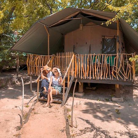 מלון Camp Leopard - Yala Safari Glamping מראה חיצוני תמונה