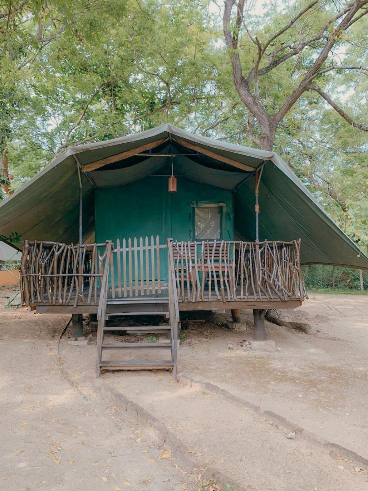 מלון Camp Leopard - Yala Safari Glamping מראה חיצוני תמונה