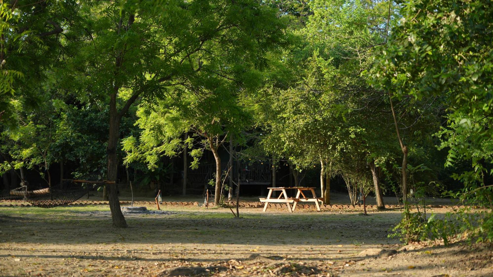 מלון Camp Leopard - Yala Safari Glamping מראה חיצוני תמונה