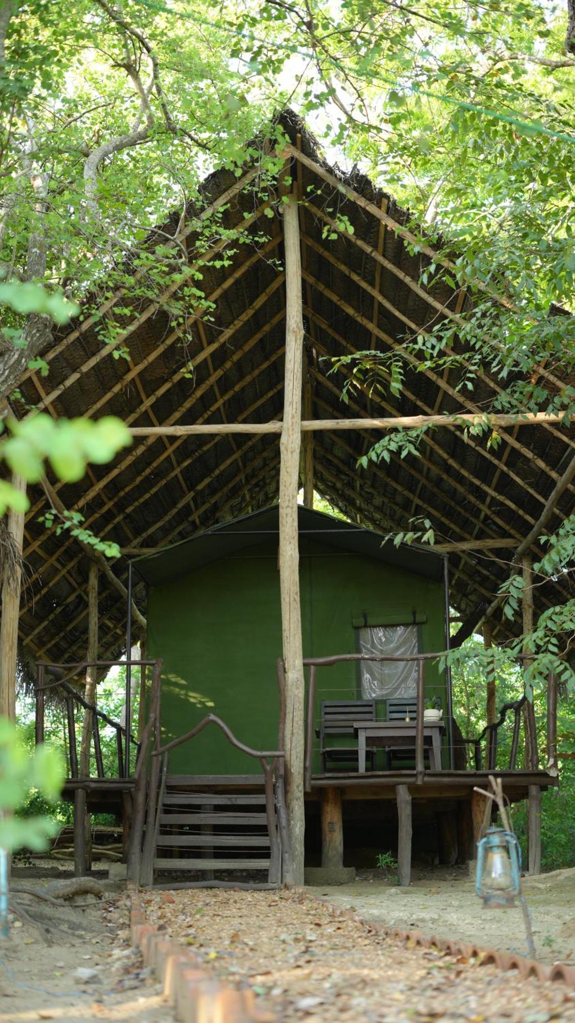 מלון Camp Leopard - Yala Safari Glamping מראה חיצוני תמונה