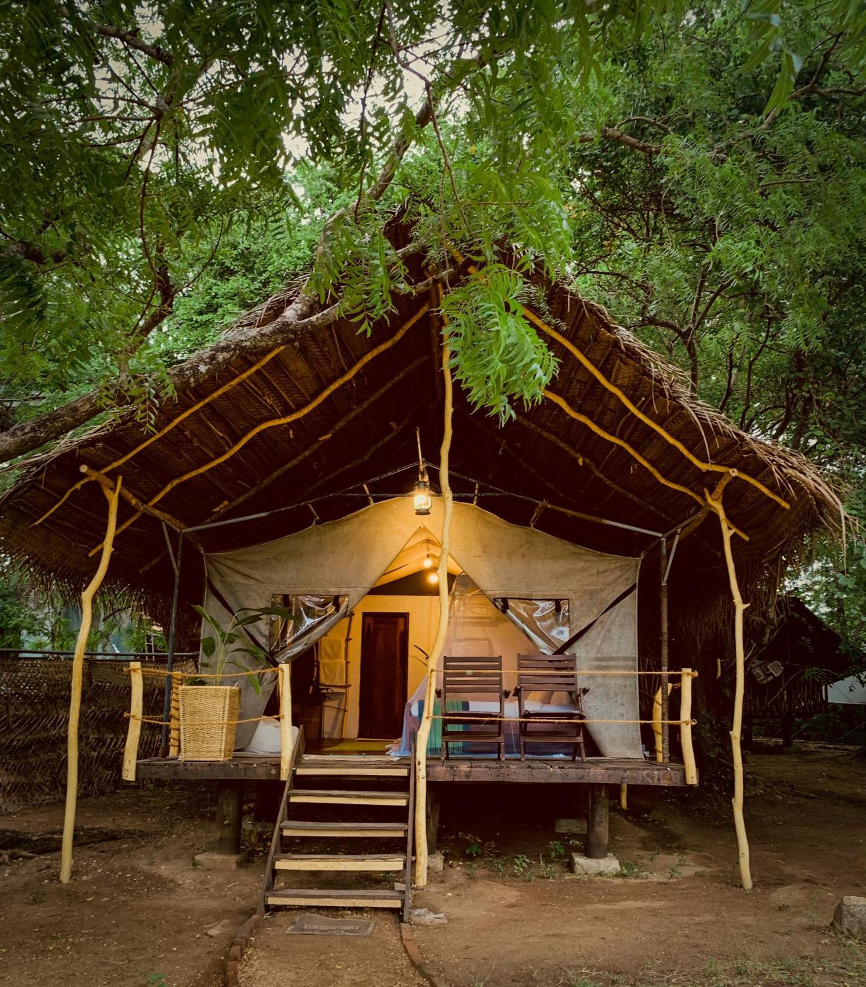 מלון Camp Leopard - Yala Safari Glamping מראה חיצוני תמונה