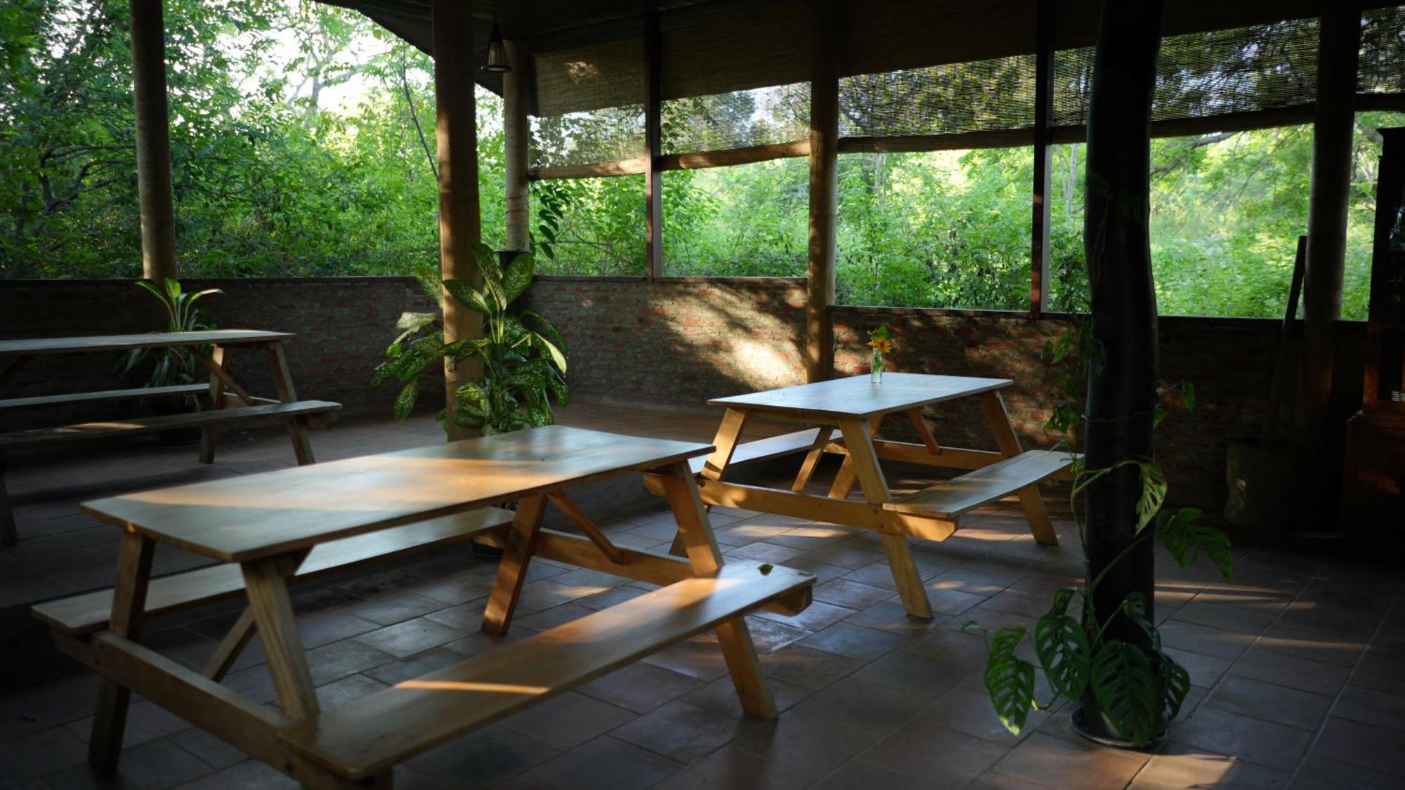 מלון Camp Leopard - Yala Safari Glamping מראה חיצוני תמונה